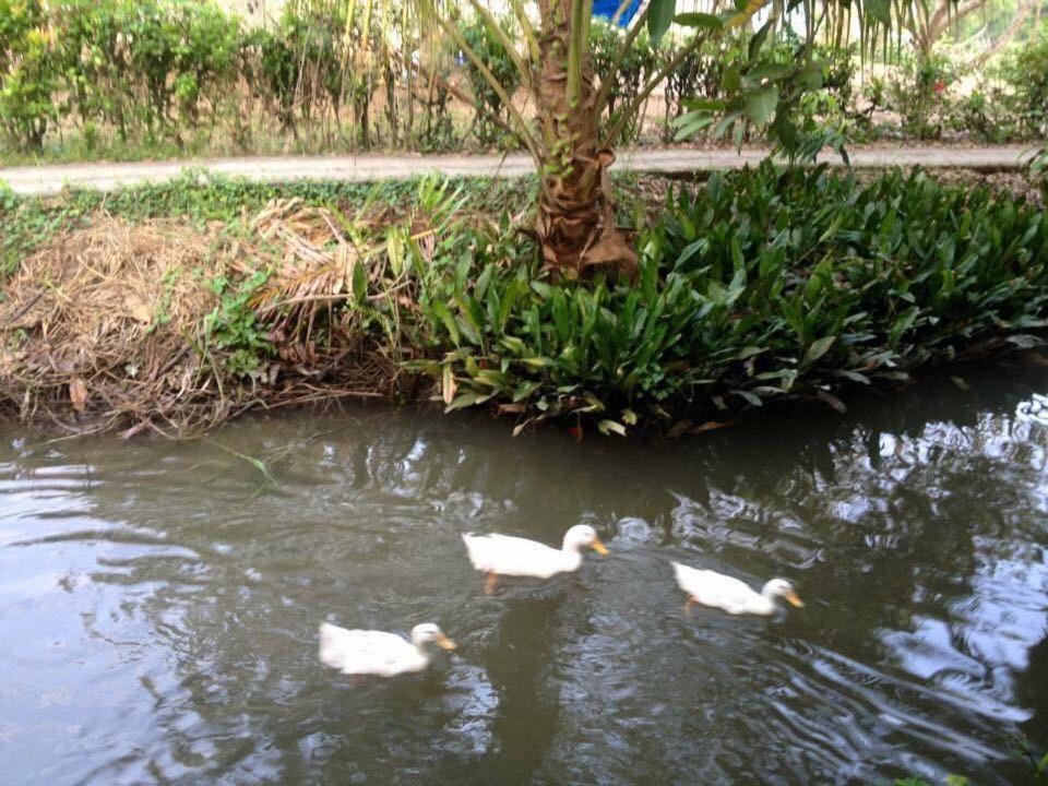 Nam Thanh Homestay Виньлонг Экстерьер фото