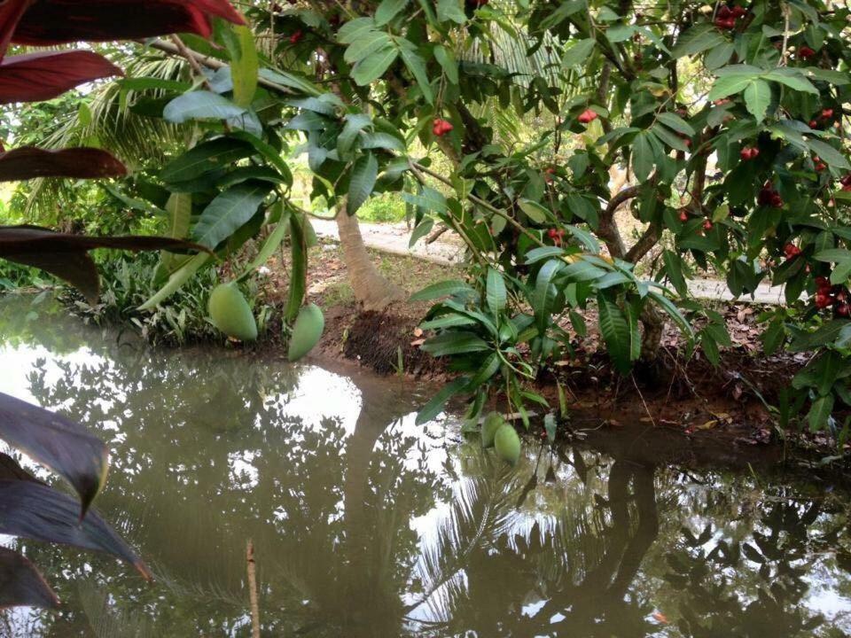 Nam Thanh Homestay Виньлонг Экстерьер фото
